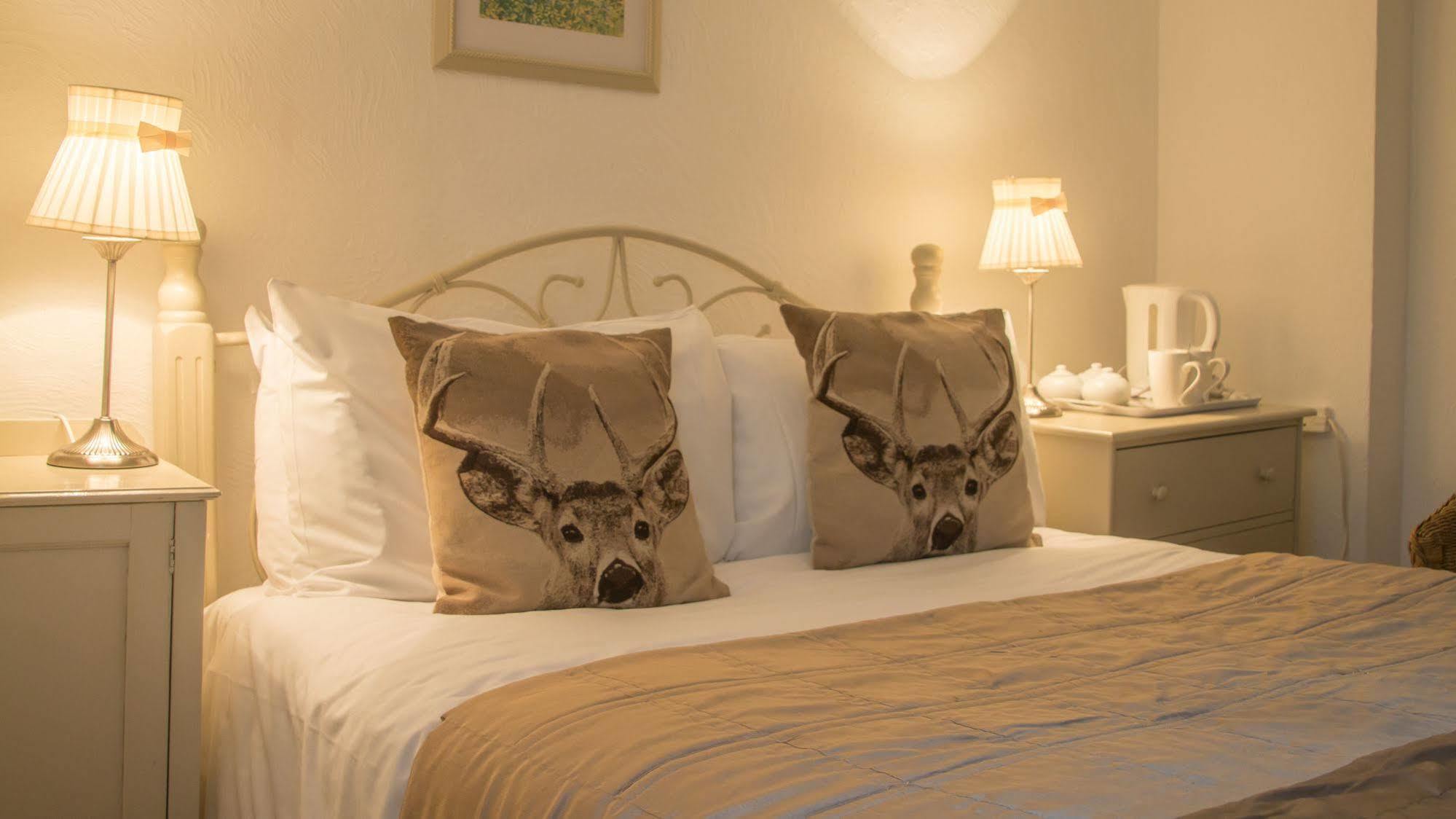 Cottage Lodge Hotel Hotel
